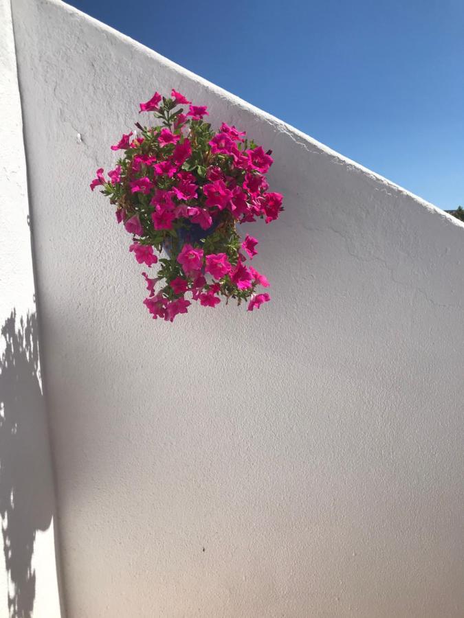 Bonita Casa Adosada Empuriabrava Zewnętrze zdjęcie